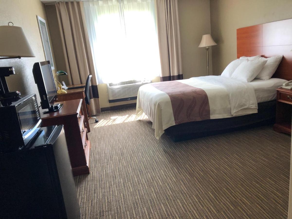 Quality Inn & Suites ניו קאסל מראה חיצוני תמונה