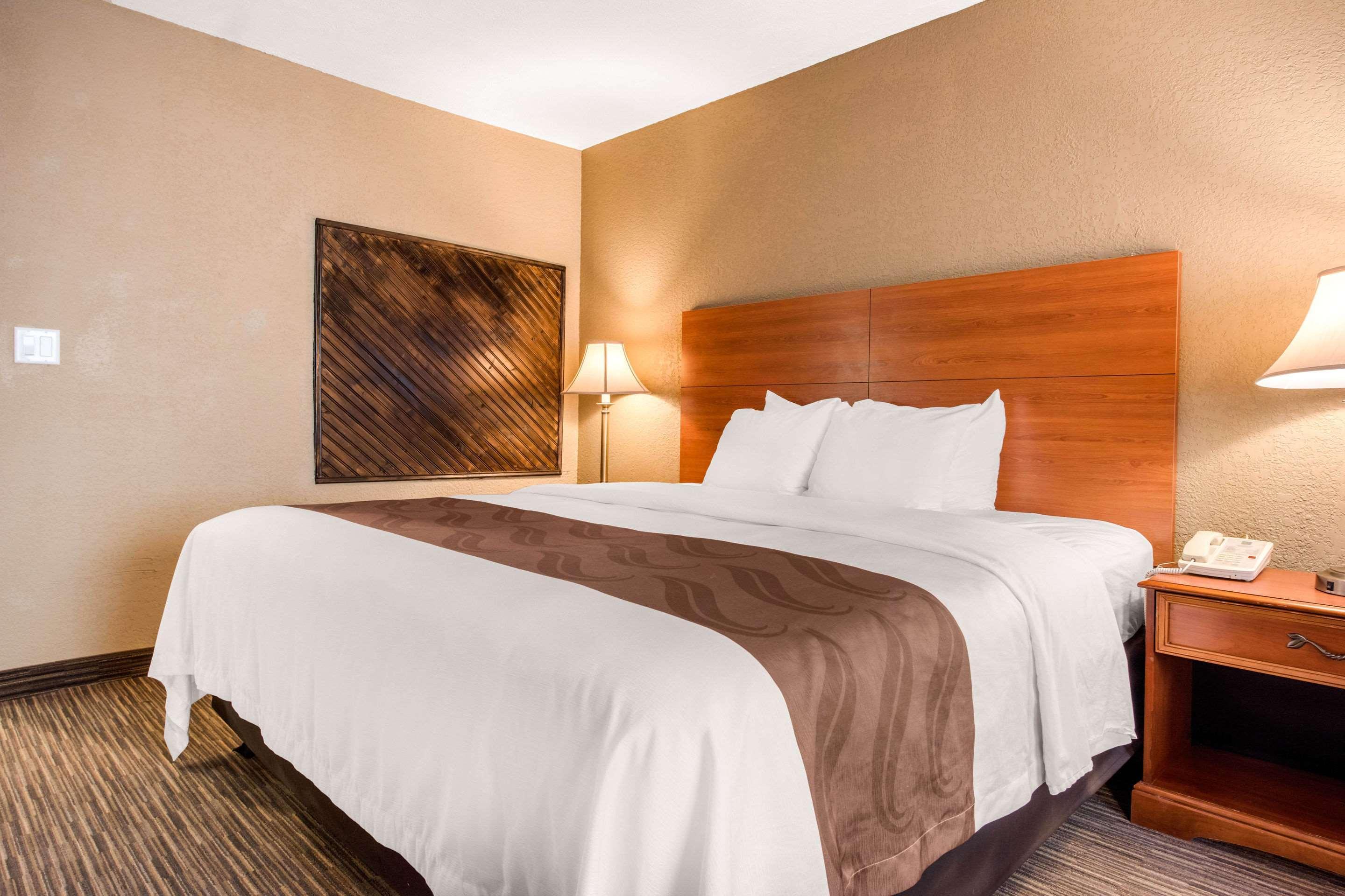 Quality Inn & Suites ניו קאסל מראה חיצוני תמונה