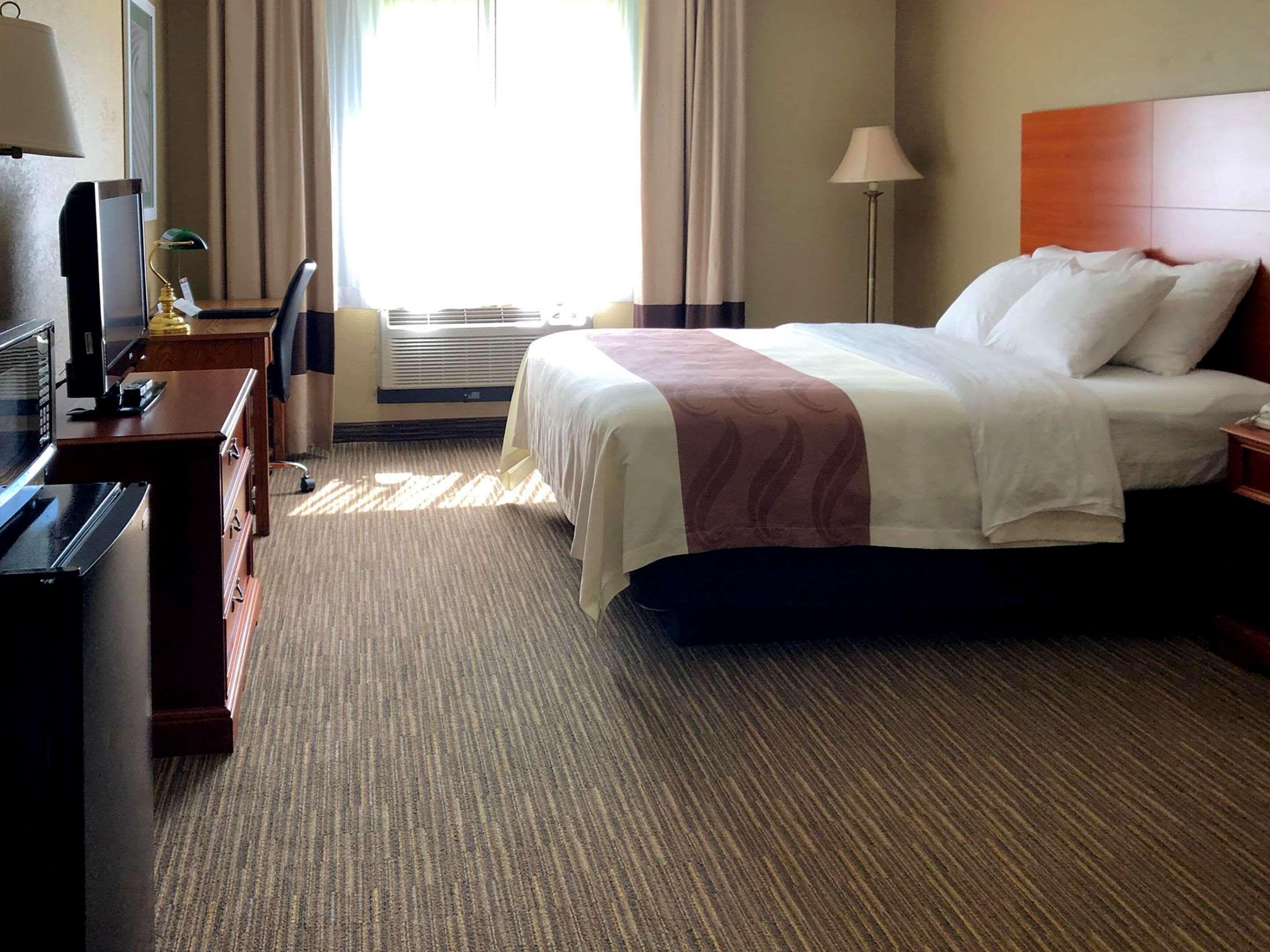 Quality Inn & Suites ניו קאסל מראה חיצוני תמונה