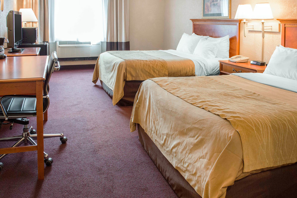 Quality Inn & Suites ניו קאסל מראה חיצוני תמונה