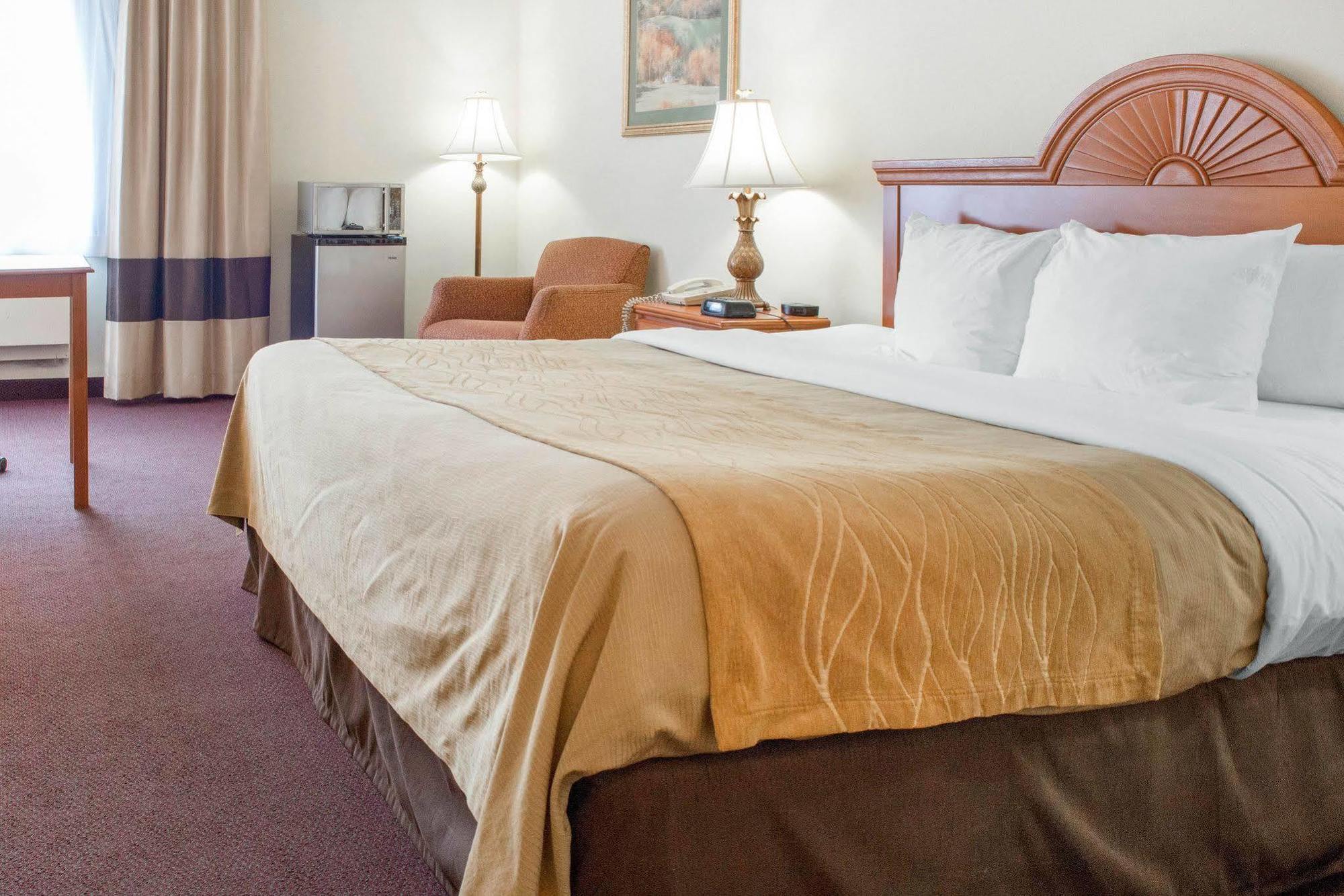 Quality Inn & Suites ניו קאסל מראה חיצוני תמונה