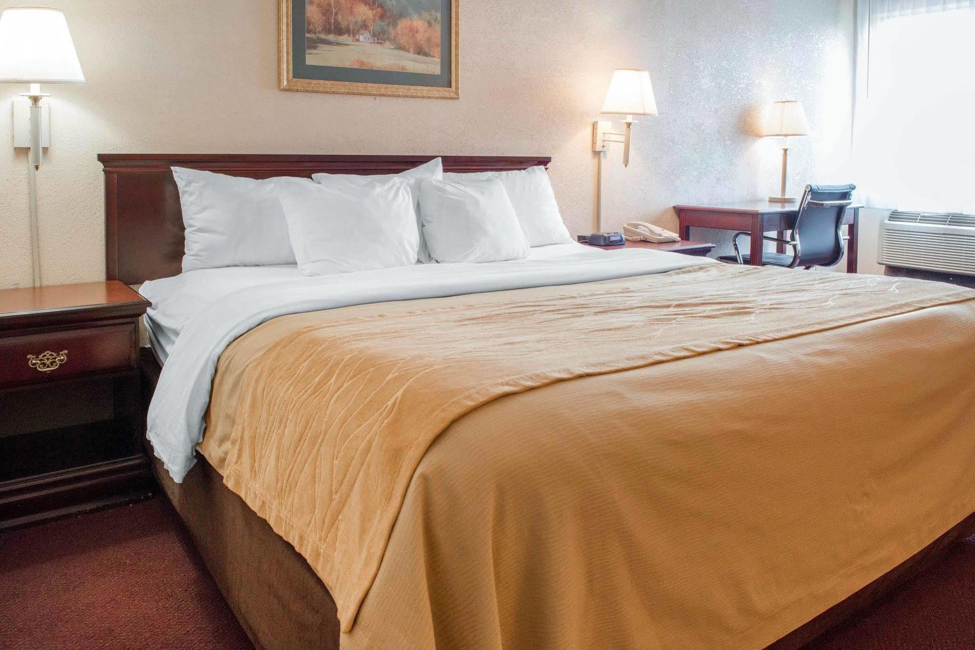 Quality Inn & Suites ניו קאסל מראה חיצוני תמונה
